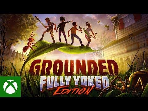 PS Plus de Junho surpreende com jogo da Xbox e um dos melhores cooperativos dos últimos anos. grounded